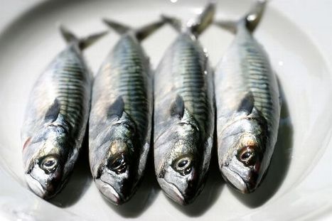 Le poisson et les acides gras oméga 3