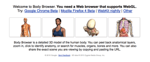 Google Body Browser Google Body Browser