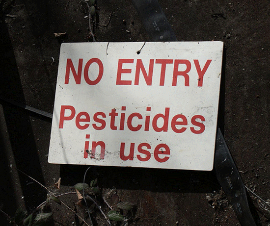 pesticides