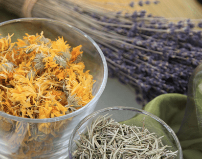 Cosmetiques bio à base de plantes naturelles