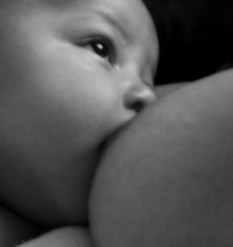 L'allaitement artificiel et l'allaitement maternel : impact sur la santé des bébés