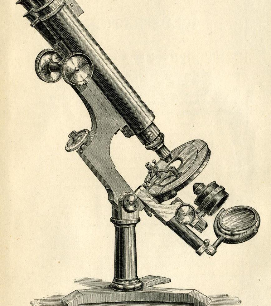 Des enfants observés dans des orphelinats pendant 12 ans révèlent des modifications chromosomiques