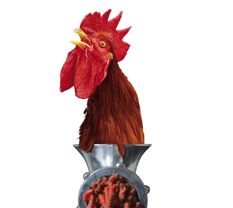 La République de la Malbouffe (Film 2012)