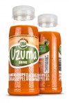 SHINE UZUMA GREEN JUICE