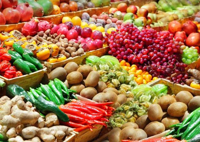 Agriculture bio dans le Monde