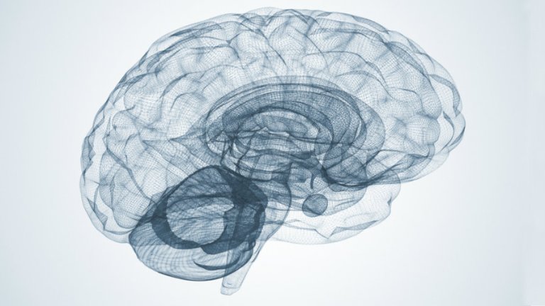Capacité intellectuelle et créativité visibles dans le cerveau Découverte de la synchronisation inter-cerveau