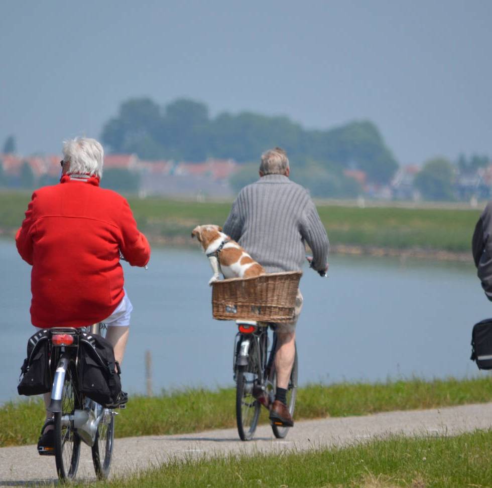 Exercice physique : prévention du déclin cognitif