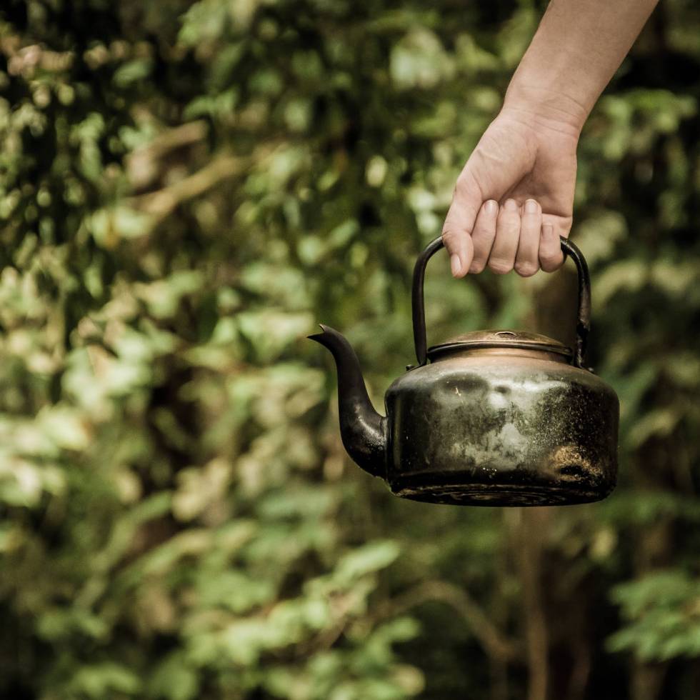 Nouvelle preuve du pouvoir du composé du thé vert appelé EGCG contre Alzheimer