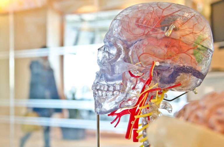 Une découverte majeure pour les troubles neurologiques