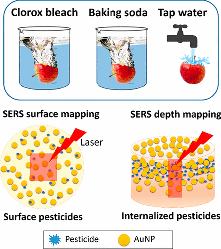 Enlever les pesticides sur les pommes