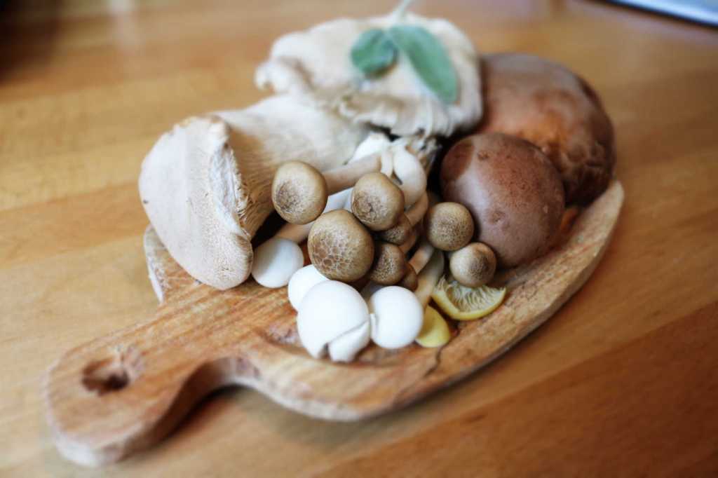 Cuisiner les champignons n'affecte pas leur pouvoir