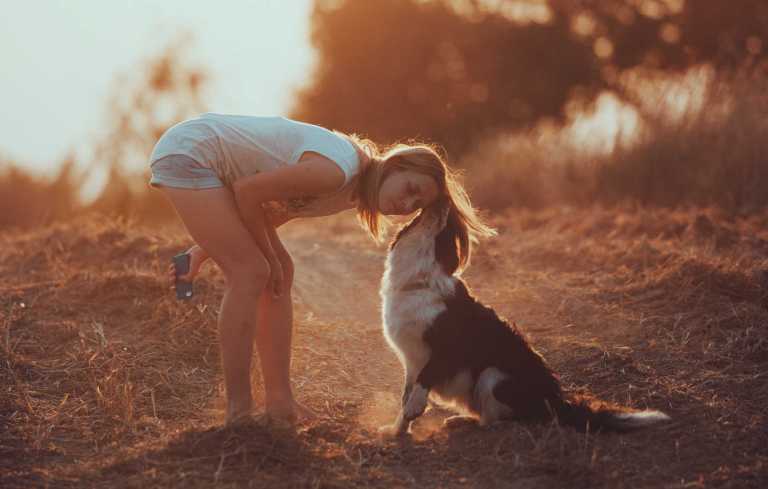 Une meilleure compréhension de l'architecture fonctionnelle et structurale du cerveau