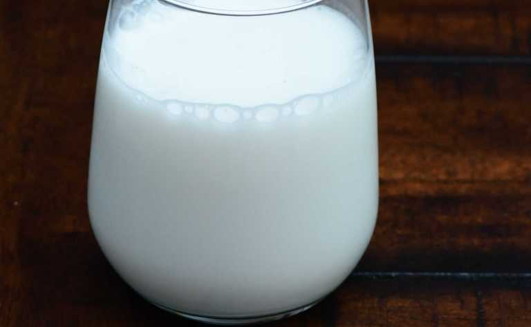 Quel est le meilleur lait végétal ?
