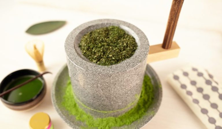 Le matcha est une poudre de thé vert