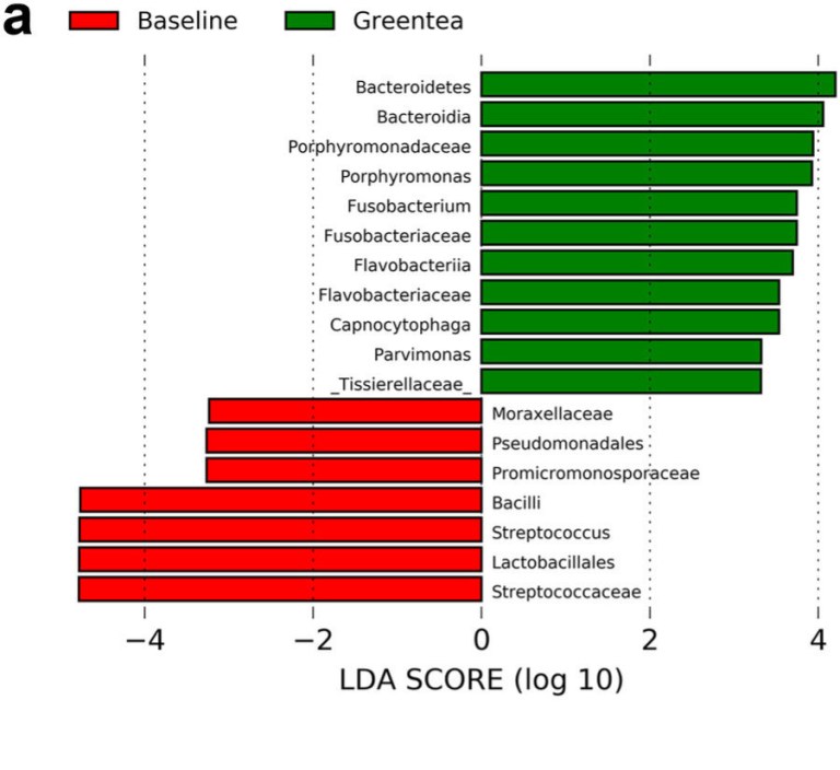 Thé vert, Streptococcus et Staphylococcus