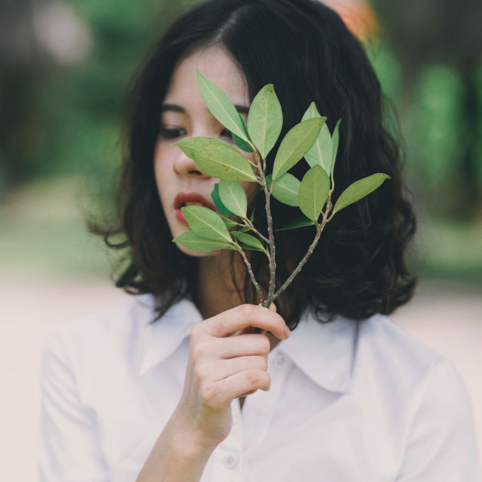 Les vertus du thé vert matcha pour la peau