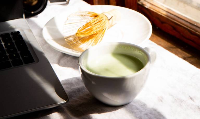 Le pouvoir des polyphénols