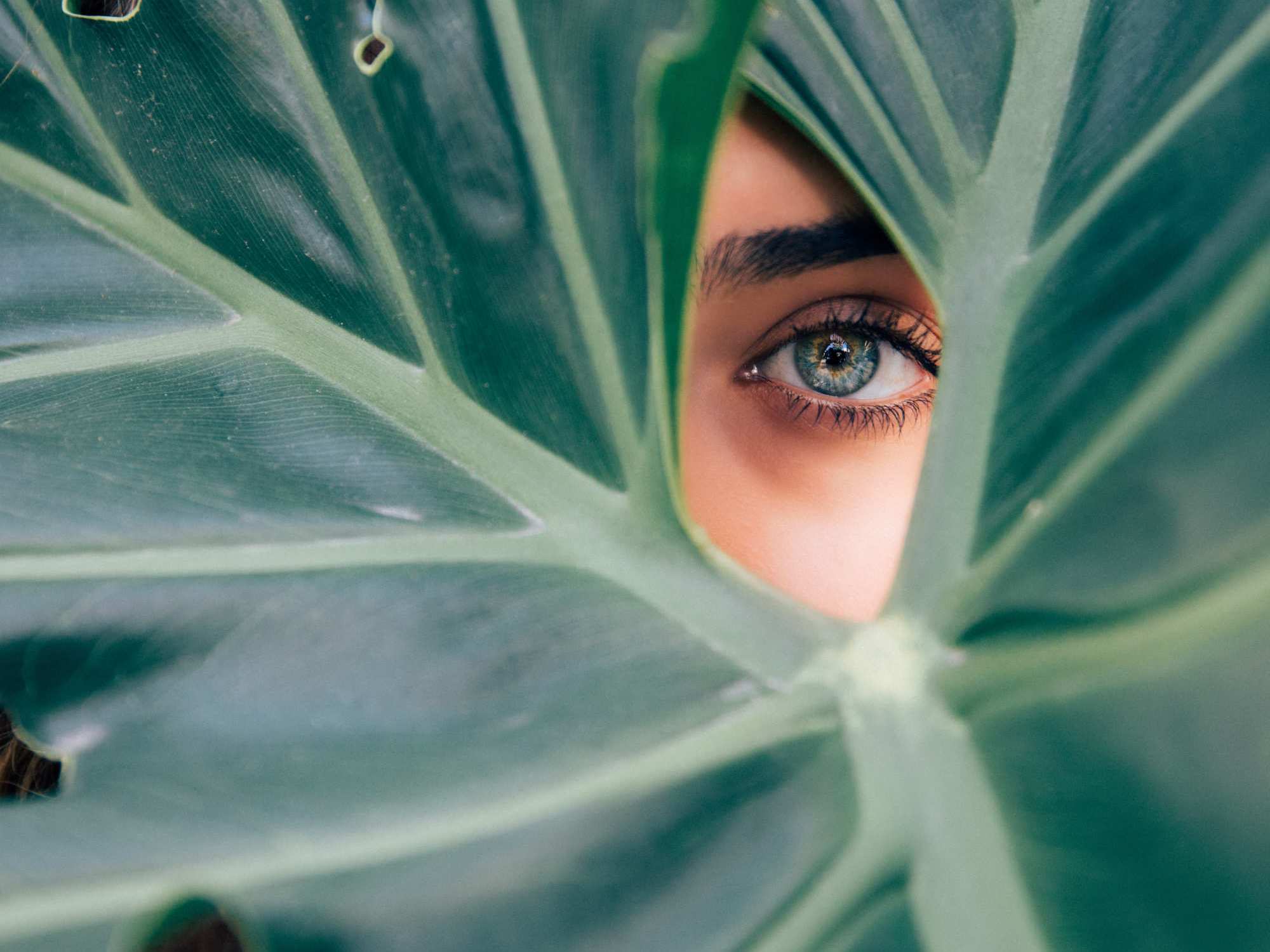 Pourquoi notre alimentation a un impact sur notre cerveau et notre mémoire ?