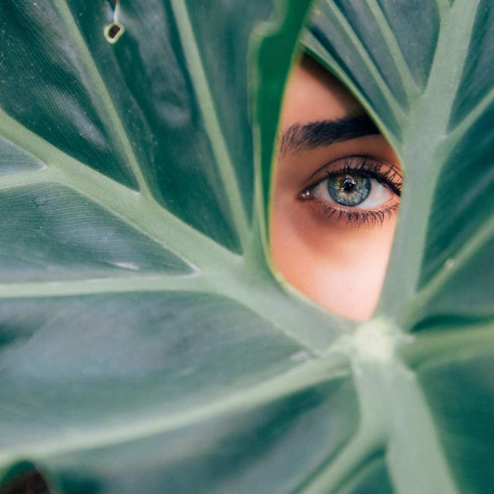 Pourquoi notre alimentation a un impact sur notre cerveau et notre mémoire ?