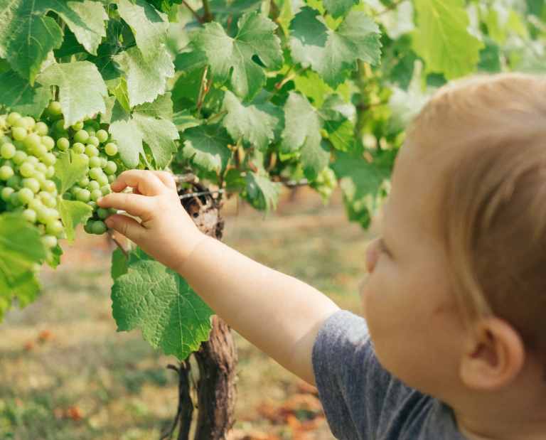 Santé et durabilité sont indissociables