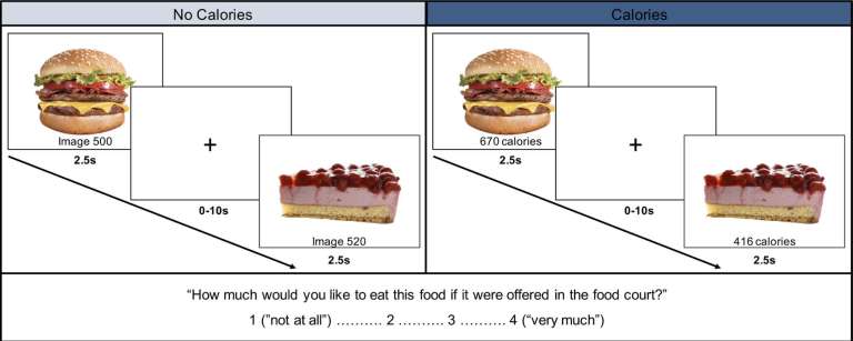 Effets de l'affichage des calories