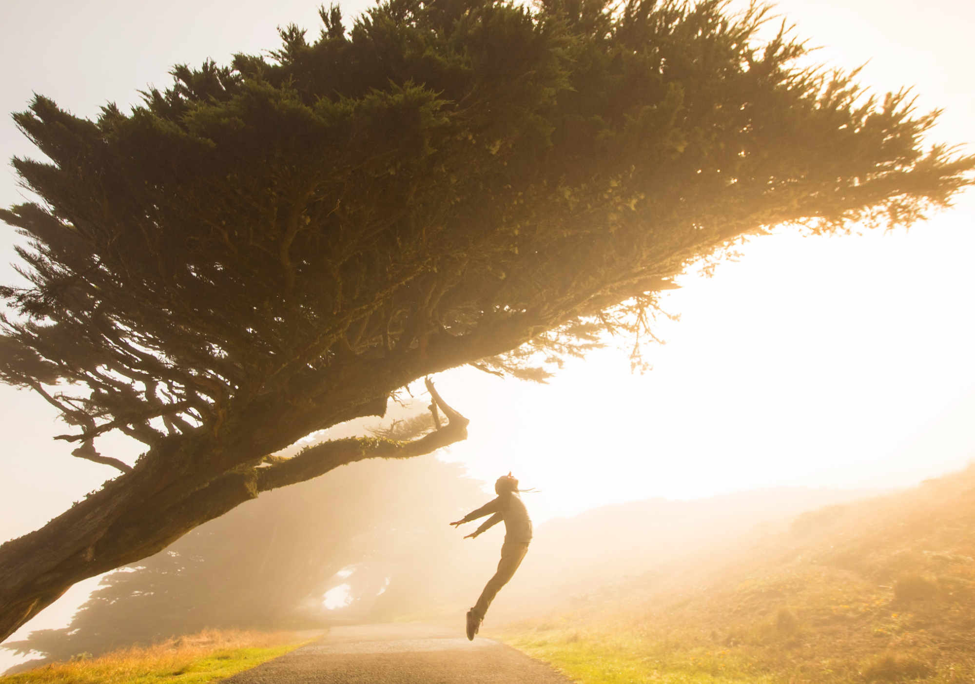 9 leviers de motivation pour atteindre vos bonnes résolutions