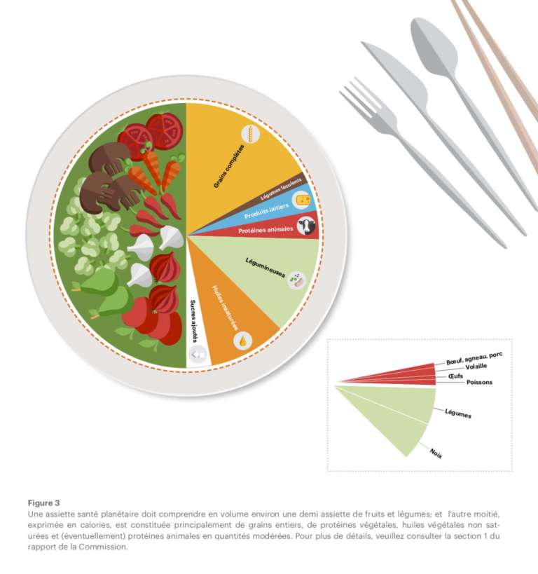 Objectifs scientifiques pour un régime alimentaire sain : le régime alimentaire planétaire