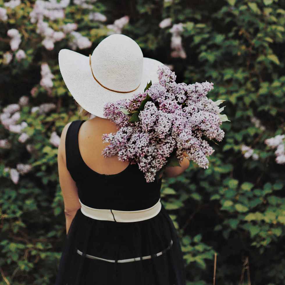 7 plantes pour aider le corps à s'adapter au stress et à l'anxiété