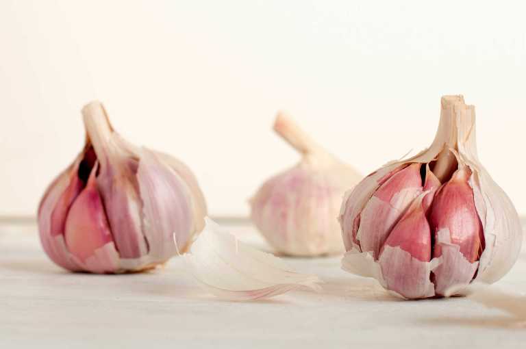 Les bienfaits de l'ail