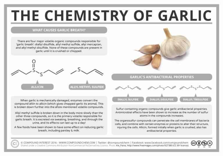 Description chimique de l'ail.