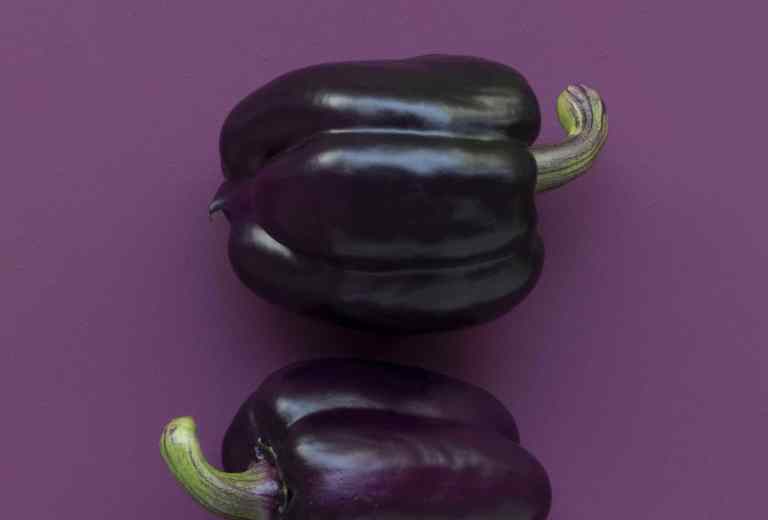 Les légumes sont simples à cuisiner