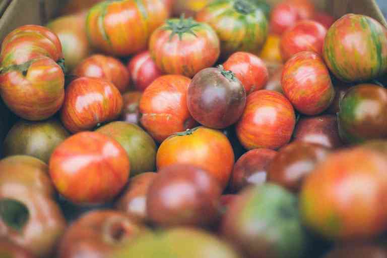 Les tomates et les antioxydants