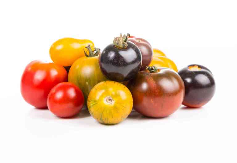Tomates, couleurs et antioxydants