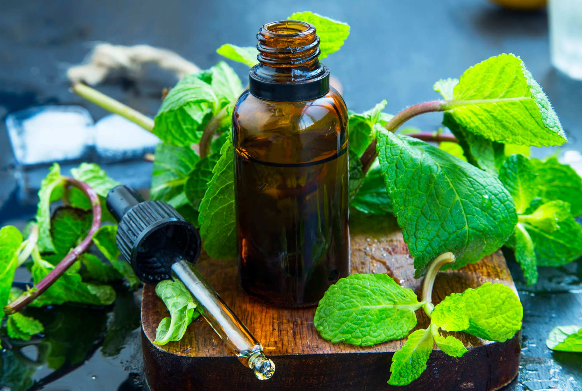 Les bienfaits de l'huile essentielle de menthe poivrée contre les troubles de la déglutition