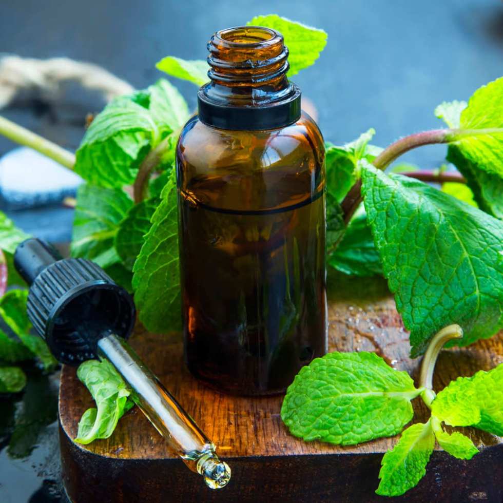 Les bienfaits de l'huile essentielle de menthe poivrée contre les troubles de la déglutition