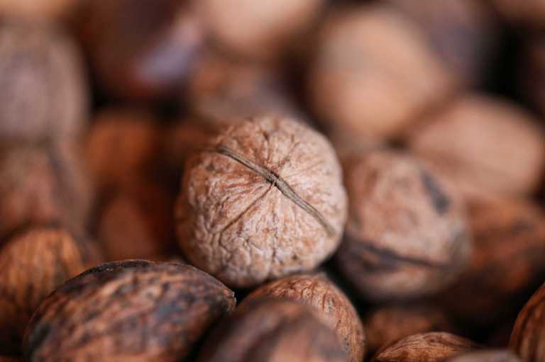 Manger des noix au quotidien