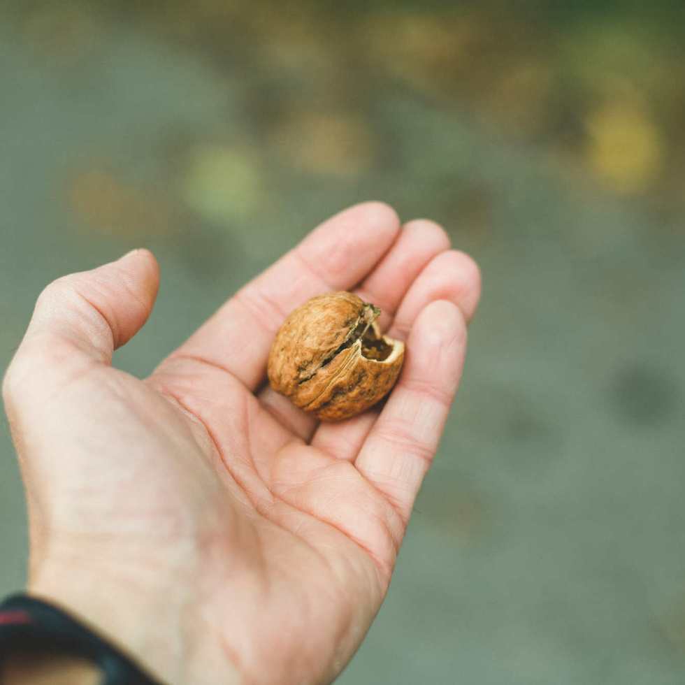 Les bienfaits des noix pour réduire la pression artérielle