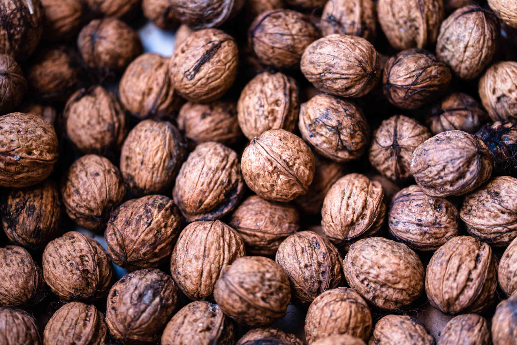 Une supplémentation alimentaire en noix a montré des effets significatifs