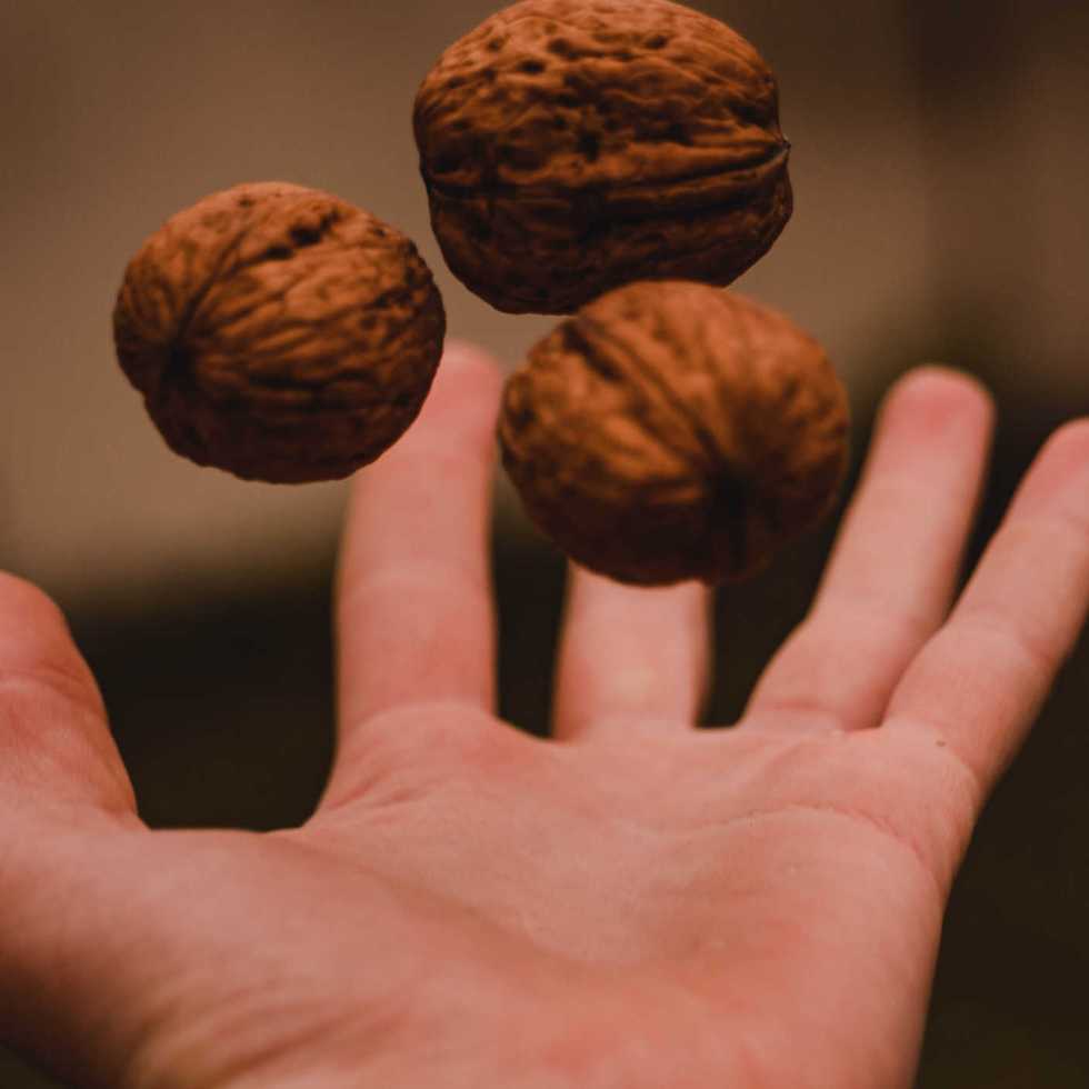 Pourquoi les noix sont bonnes pour la santé intestinale et cardiaque ?