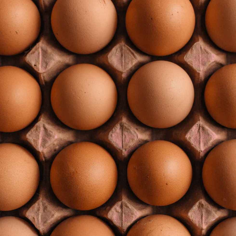 Manger un œuf par jour augmente-t-il le risque de maladie cardiaque ?