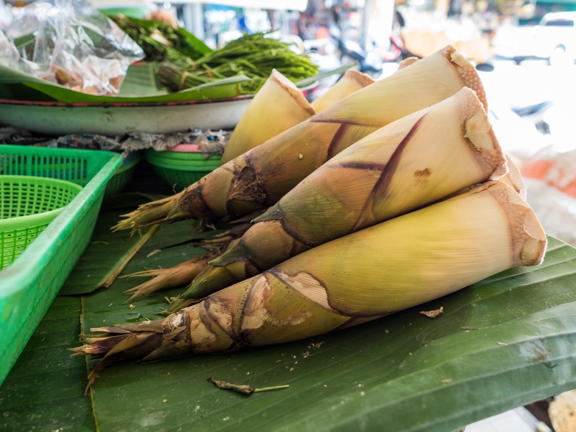 Pousses de bambou : bienfaits santé, préparation et précautions selon la science