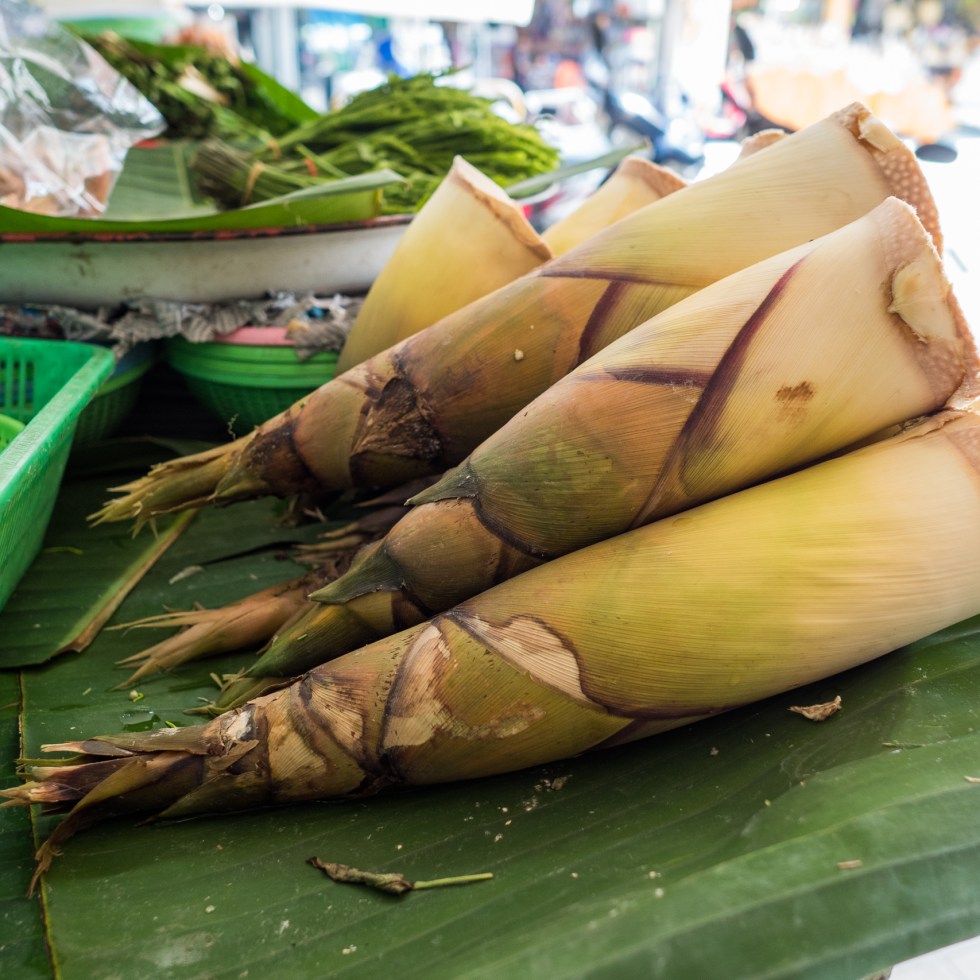 Pousses de bambou : bienfaits santé, préparation et précautions selon la science