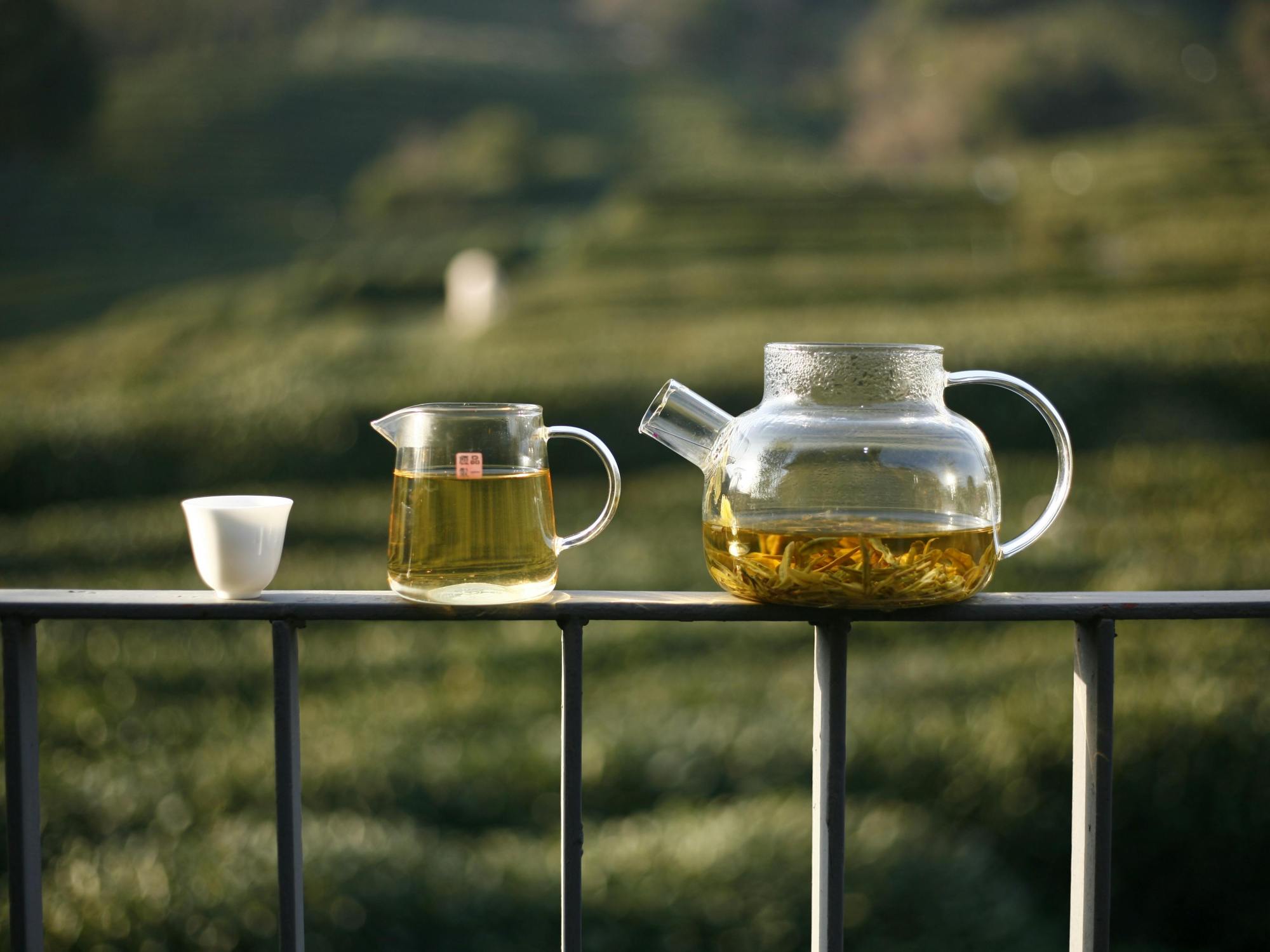 Flavanols et astringence : comment le goût amer du thé et du cacao stimule directement votre cerveau