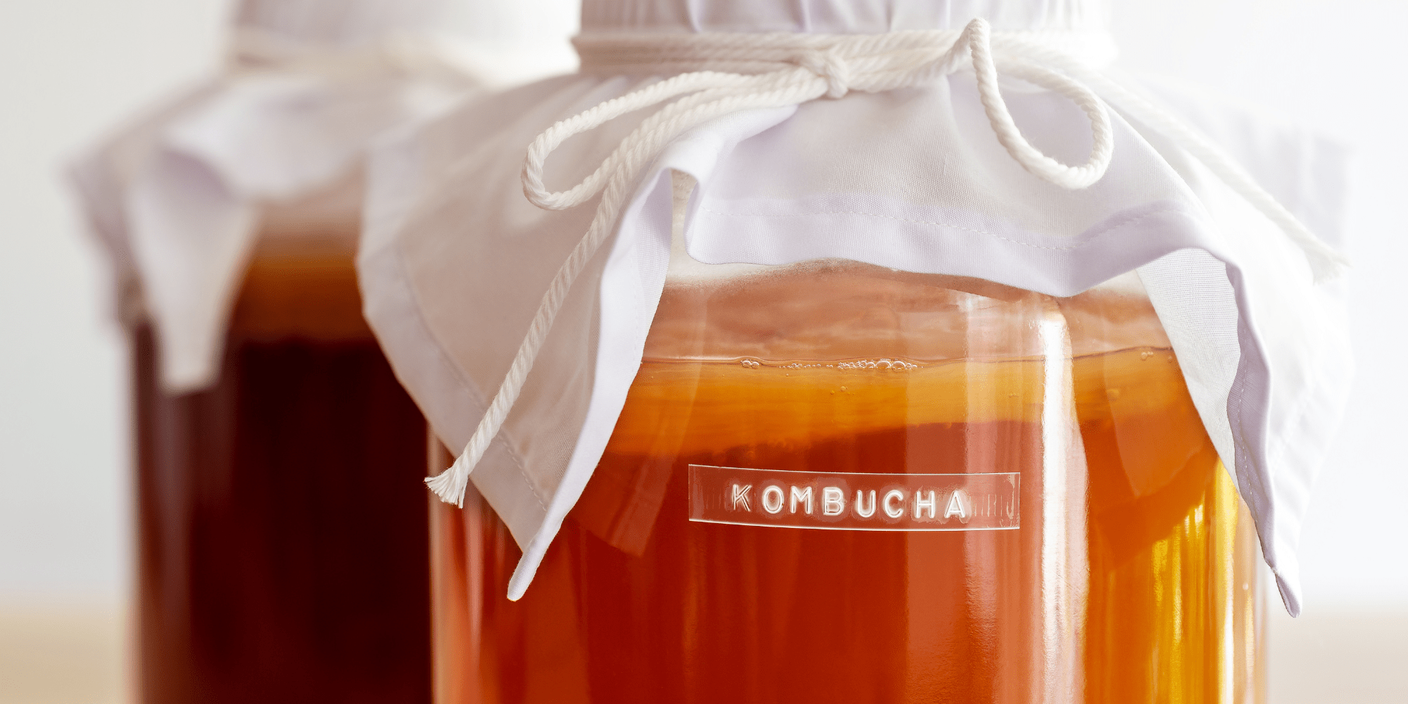 kombucha de thé vert et oolong, comparaison des arômes et antioxydants