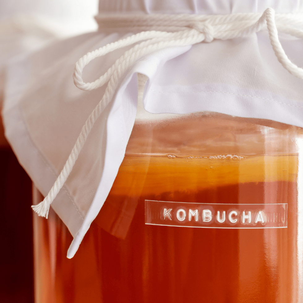kombucha de thé vert et oolong, comparaison des arômes et antioxydants