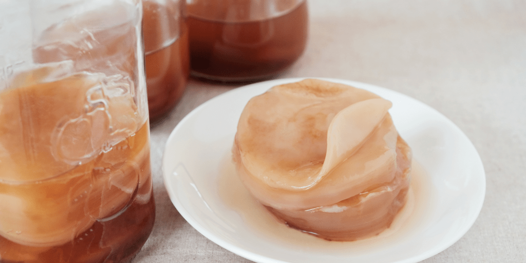 SCOBY est l'acronyme anglais de Symbiotic Culture Of Bacteria and Yeast